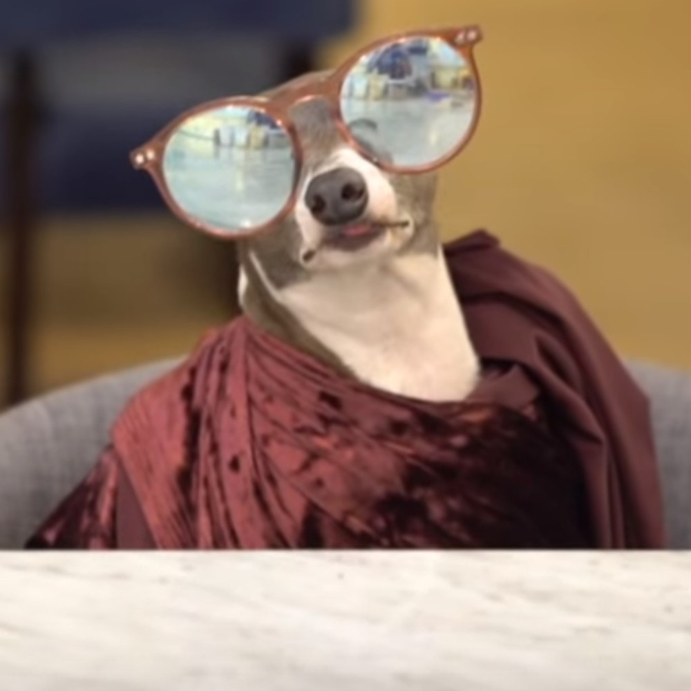 Meet your Posher, Kazandra